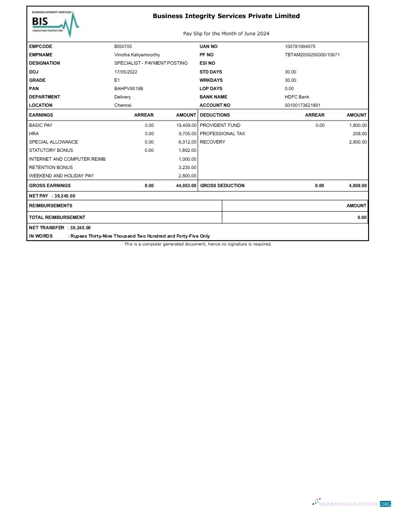 Download Business Integrity Services payslip template in Word and PDF formats.pdf, 1 Photoshop template